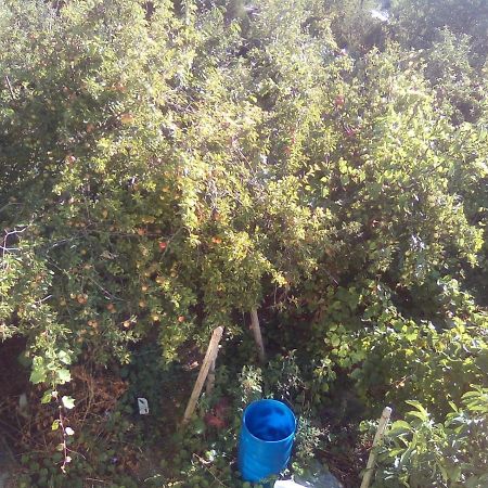 וארנה Вилна Зона Златни Пясъци, Спирка Ален Мак מראה חיצוני תמונה
