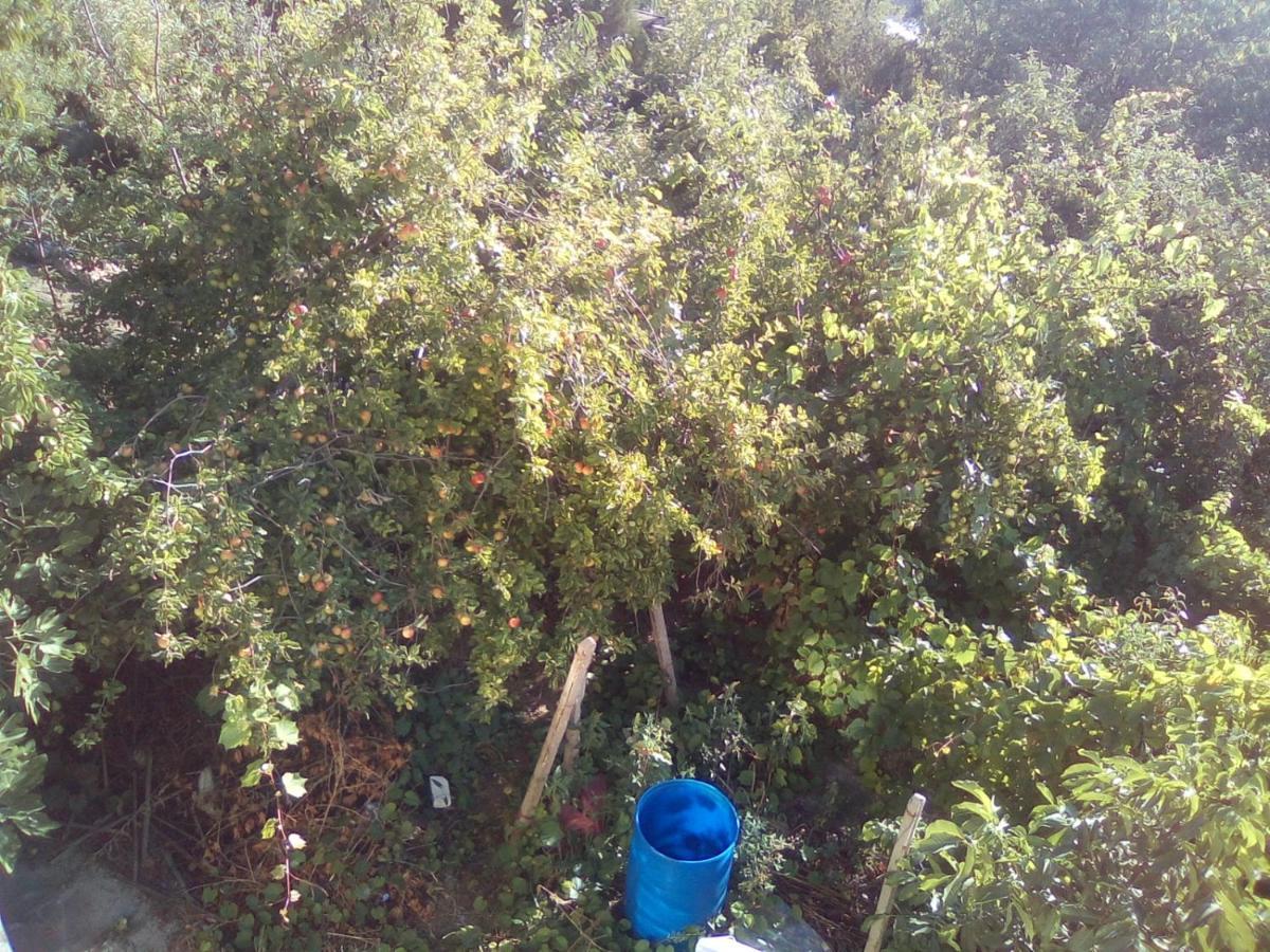 וארנה Вилна Зона Златни Пясъци, Спирка Ален Мак מראה חיצוני תמונה
